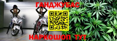 прущие крисы Малгобек